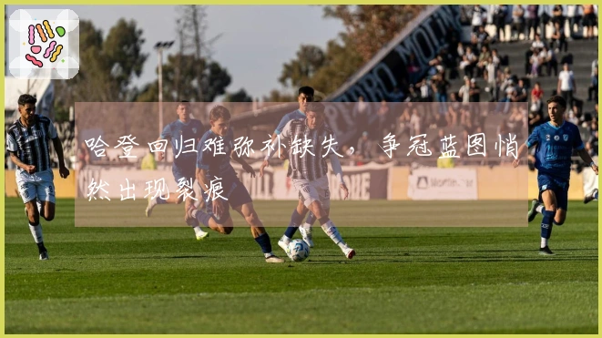 哈登回归难弥补缺失，争冠蓝图悄然出现裂痕