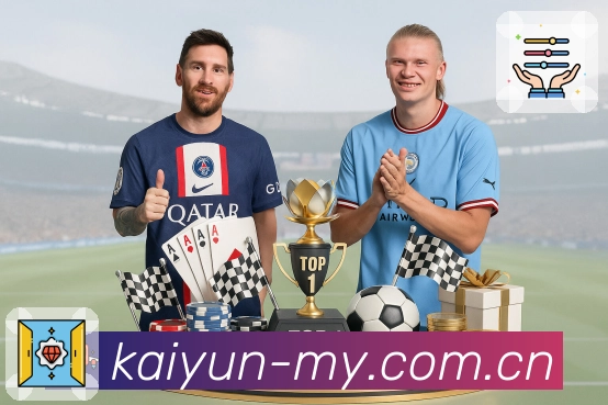 站内搜索认证展示